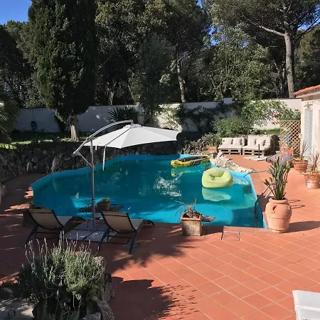 Luxury With Swimming Pool In Roma