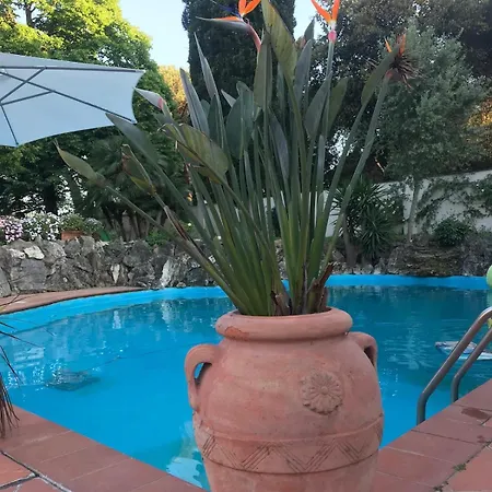 Villa Luxury With Swimming Pool In