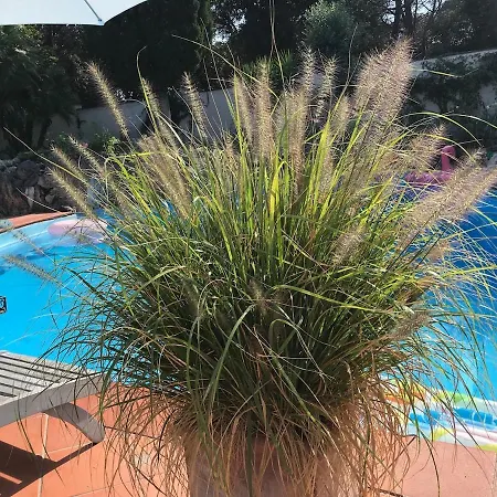 Luxury With Swimming Pool In * Roma